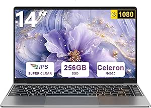 2025 Newest PC Portatile 14 Pollici Notebook Laptop Win 11 256 GB ROM Celeron N4020 WiFi 5 upto 2.8 GHz Supporta l'espansione SSD 1TB 4.2 USB HDMI Tastiera Italiana Membrana Mouse Senza Fili-Gray